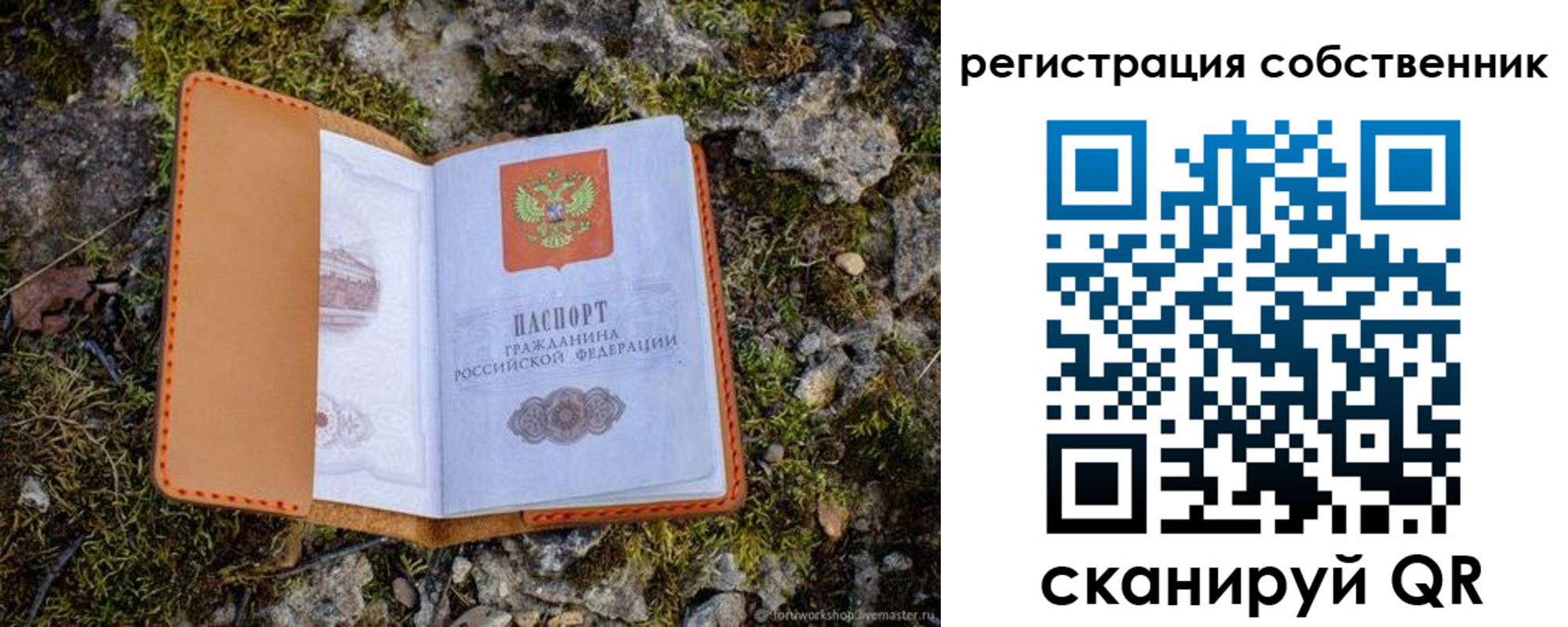 прописка поиск в Чернушке